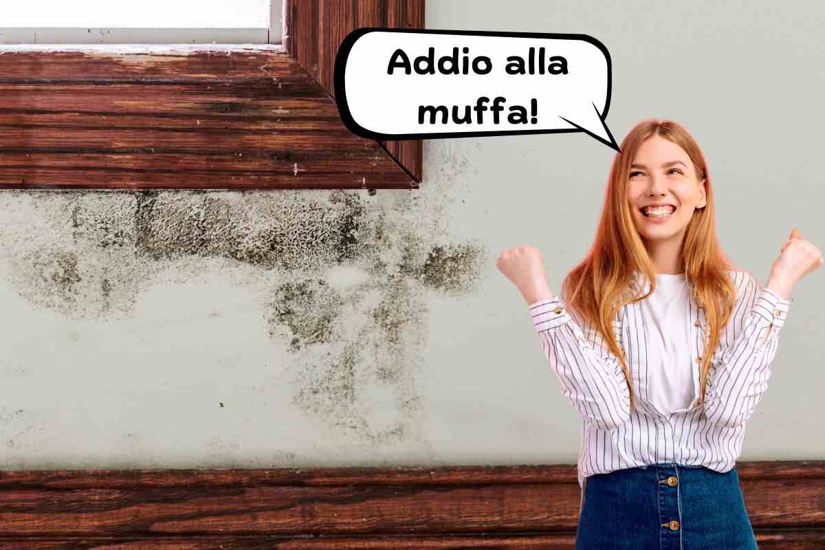 muffa soluzione