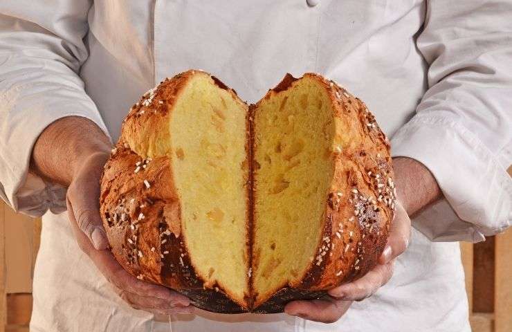 Chef mostra il suo panettone