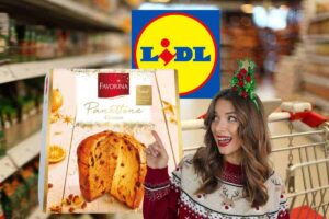 Il panettone Lidl Favorina