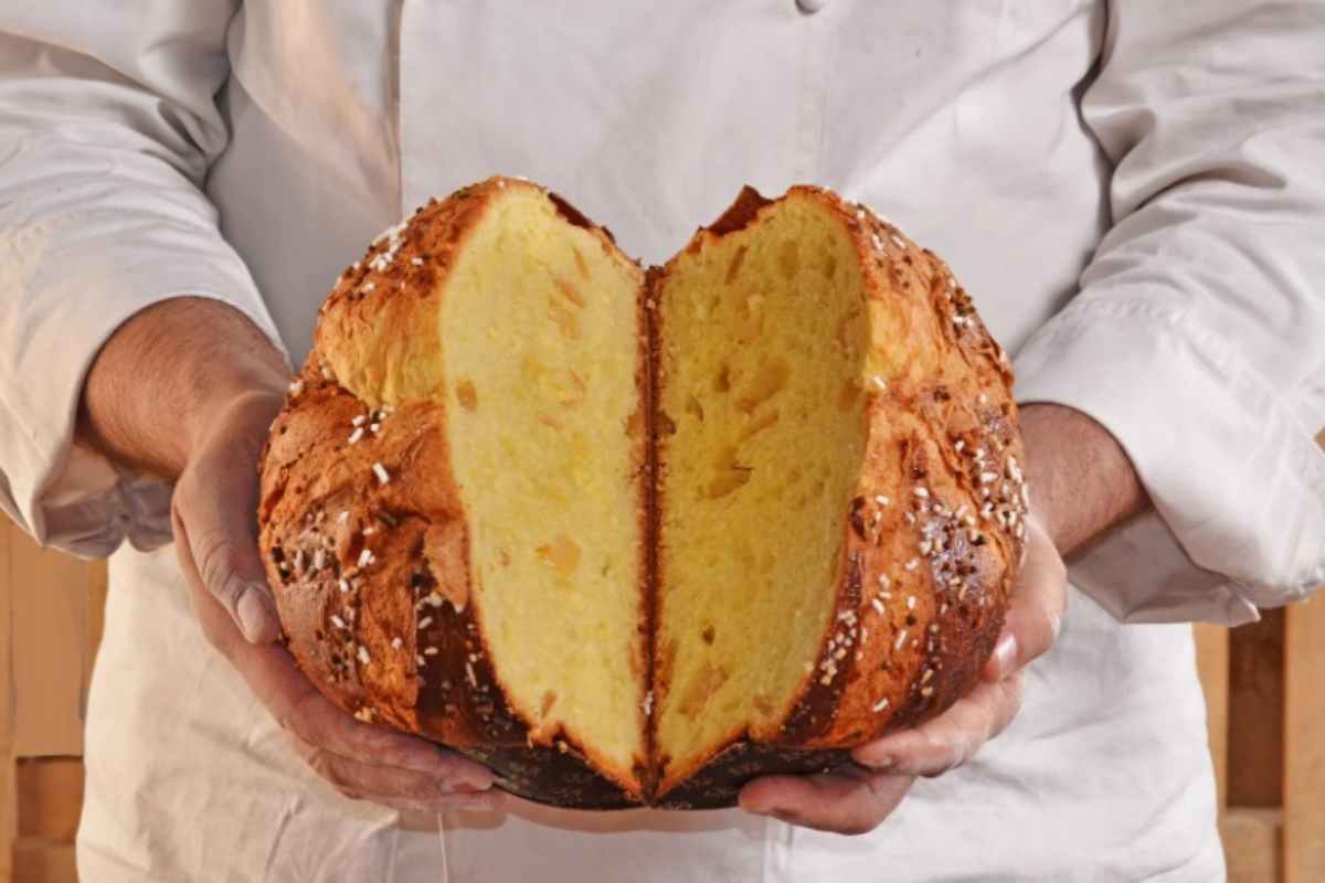 Panettone mostrato da uno chef 