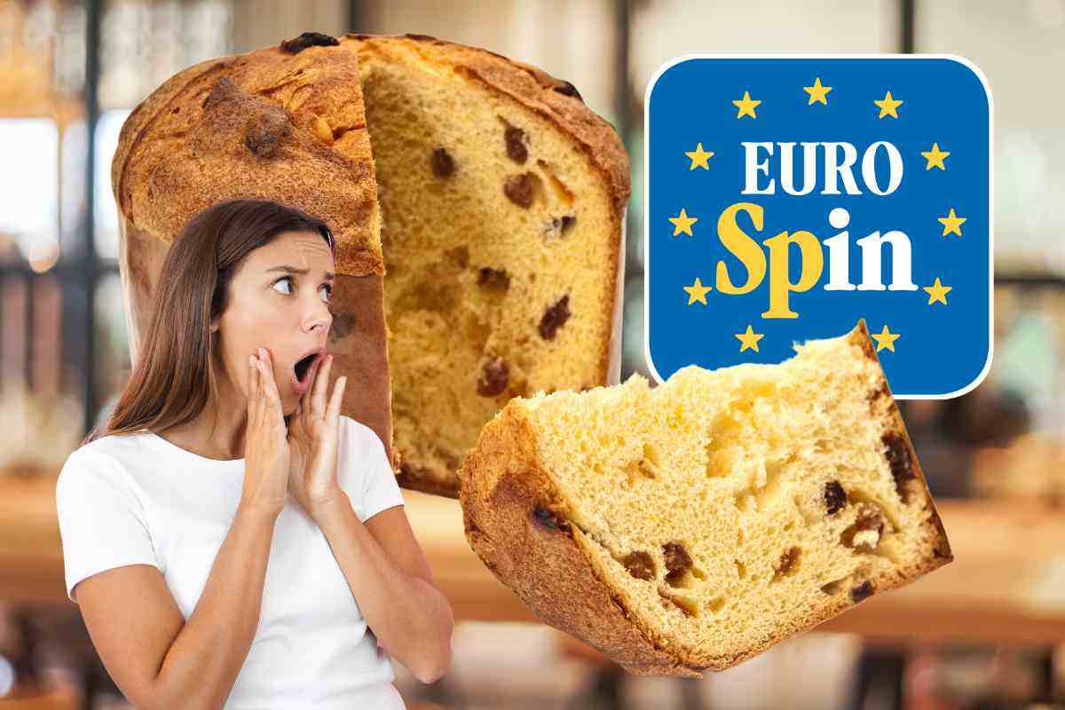 Panettone Eurospin, il segreto 